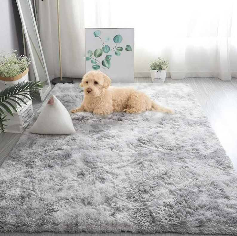 Tapis de Salon Shaggy en Peluche